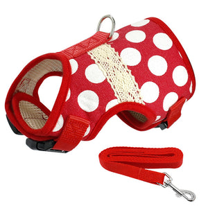 Soft Printed Dog Harness and Leash,  Vest Jacket For Small Medium Dogs Teddy Poddle .Chihuahua or  Yorkies, Vest S M L XL