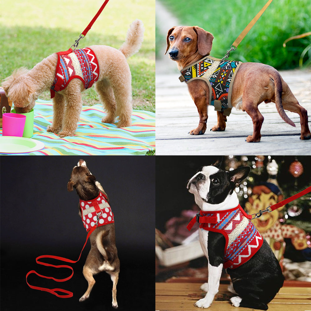 Soft Printed Dog Harness and Leash,  Vest Jacket For Small Medium Dogs Teddy Poddle .Chihuahua or  Yorkies, Vest S M L XL